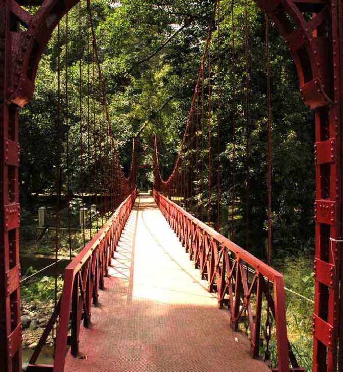 jembatan merah di kebun raya Bogor