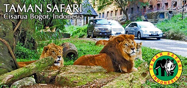 taman safari Bogor